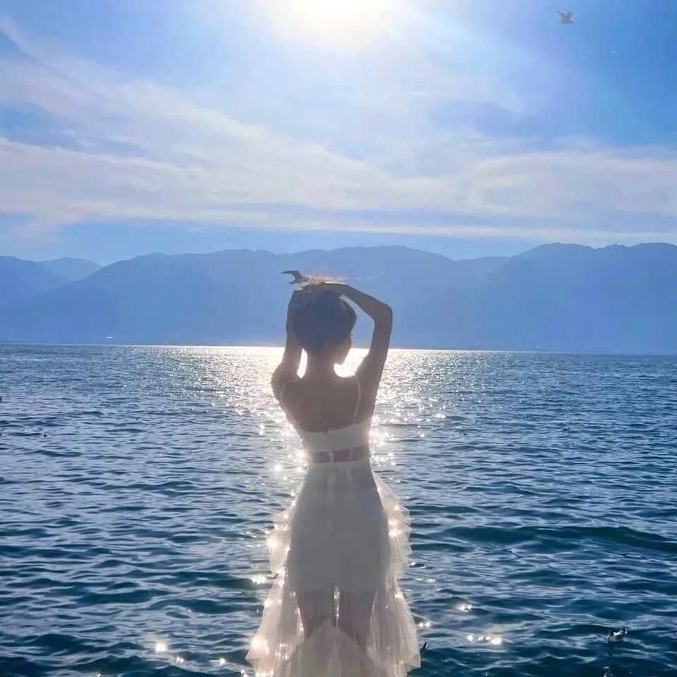 老木的秘密 海报